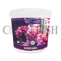 نمک مرجان ریف لاورز