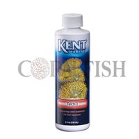 Tech I کنت مارین