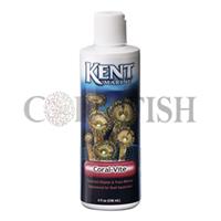 Coral-Vite کنت مارین