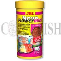 JBL FNovo lower Mini جی بی ال