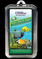 جلبک دریایی سبز