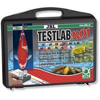 Testlab Koi