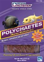 Polychaetes