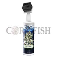 Rock-Prep کنت مارین