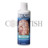 Coral Accel کنت مارین